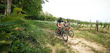 mtb pfalz tour 4