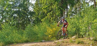 mountainbike tour rheinland pfalz