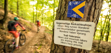 mountainbike tour rheinland pfalz