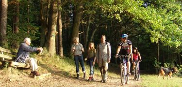 mountainbike tour rheinland pfalz